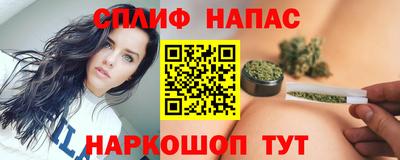 стаф Можга