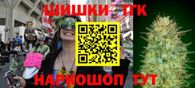 стаф Можга