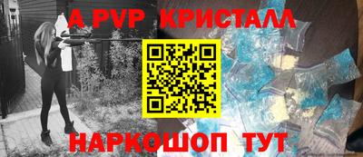 стаф Можга
