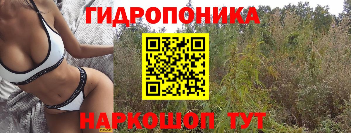 Шишки марихуана MAZAR  Канабис семена  Конопля Bruce Banner  Вход с VPN  МАРИХУАНА Amnesia  Верхняя Салда 